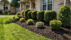 Neatly edged garden beds and trimmed shrubs